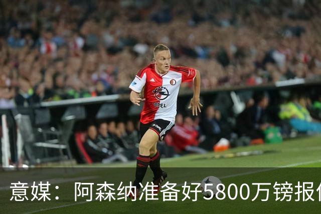 意媒：阿森纳准备好5800万镑报价弗拉霍维奇