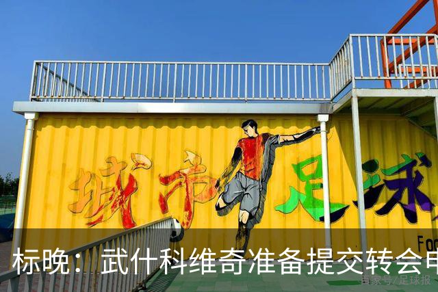 标晚：武什科维奇准备提交转会申请，以强行推动离开热刺